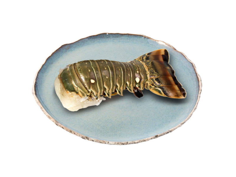 珍寶龍蝦尾1隻(6-7安士) Lobster Tail(6-7oz)