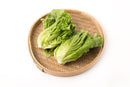 唐生菜Chinese Lettuce