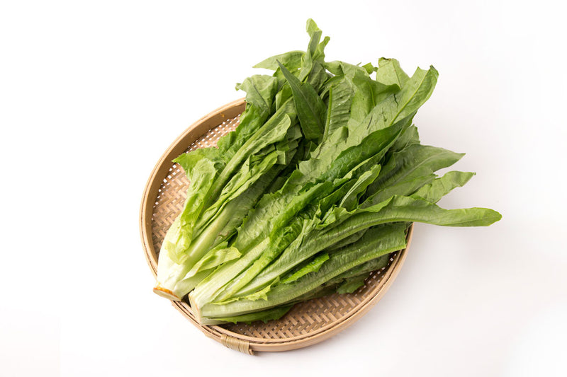 油麥菜Indian Lettuce