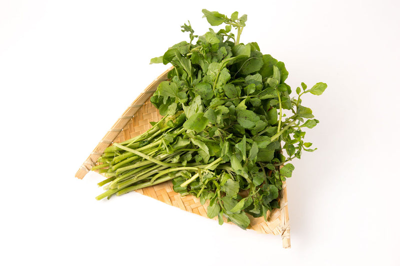 西洋菜Watercress